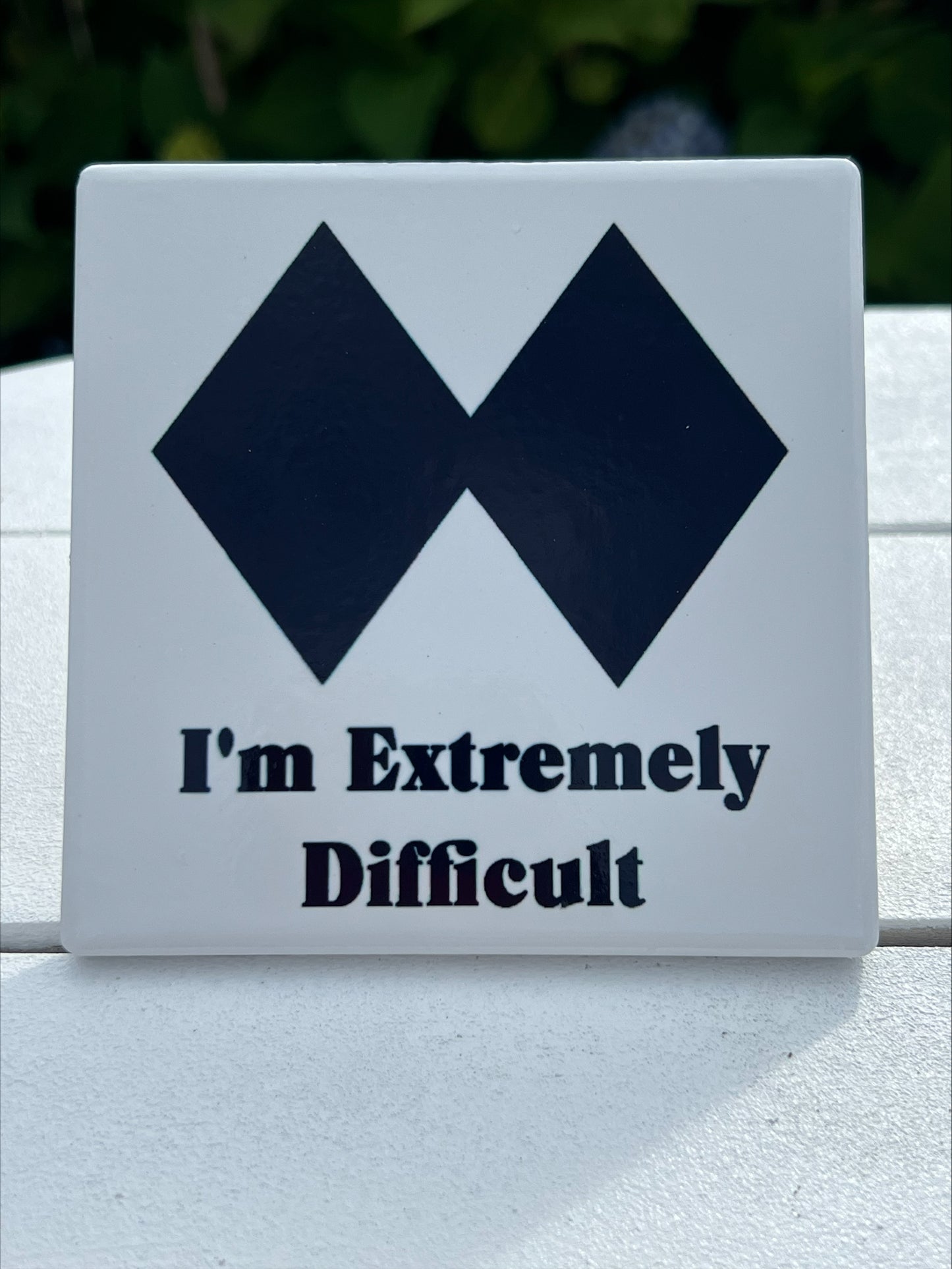 I'm Extremely Difficult Coaster