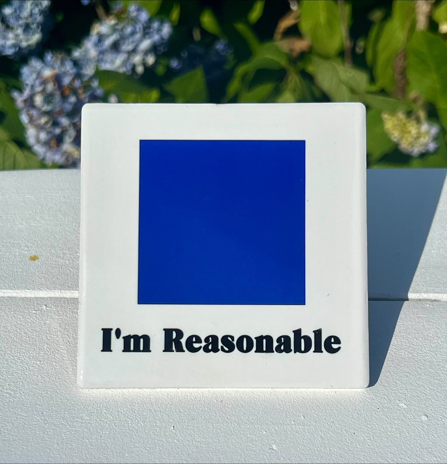I'm Reasonable Coaster